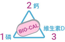 滋骨最佳黃金比例 滋骨,滋骨加強咀嚼錠,鈣計較,磷酸鈣,滋骨鈣片,東洋